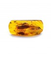 Baltic Amber stone in cognac color with insects, code KB_51